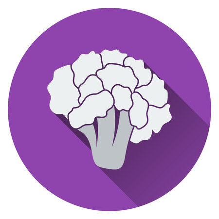 Cauliflower icon. Flat design. Vector illustration.のイラスト素材