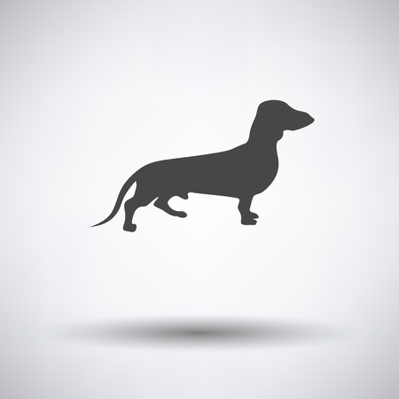 Dachshund dog icon on gray background with round shadow. Vector illustration.のイラスト素材