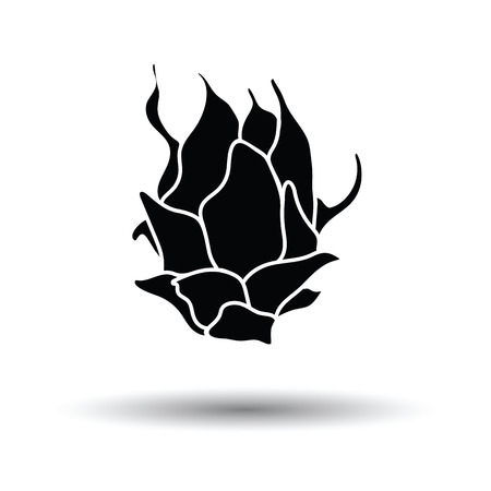 Dragon fruit icon. White background with shadow design. Vector illustration.のイラスト素材