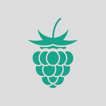 Raspberry icon. Gray background with green. Vector illustration.のイラスト素材