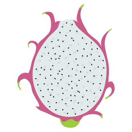 Flat design icon of Dragon fruit in ui colors. Vector illustration.のイラスト素材