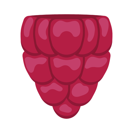 Flat design icon of Raspberry in ui colors. Vector illustration. のイラスト素材