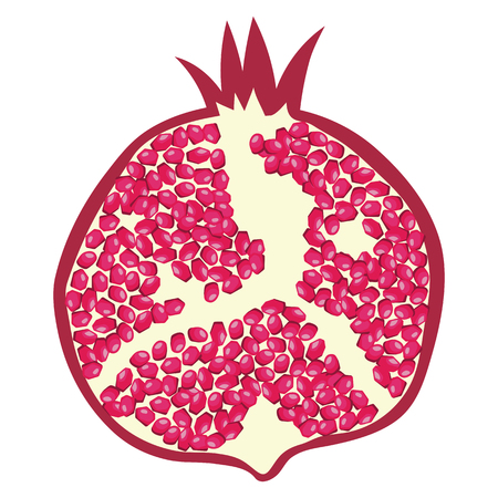 Flat design icon of Pomegranate in ui colors. Vector illustration.のイラスト素材