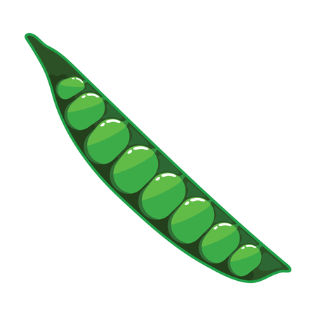 Pea icon. Flat color design. Vector illustration.のイラスト素材