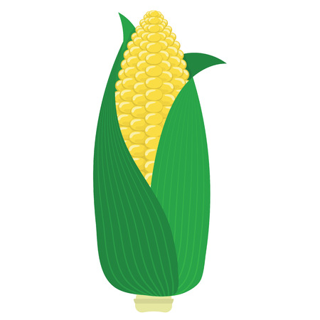 Corn icon. Flat color design. Vector illustration.のイラスト素材