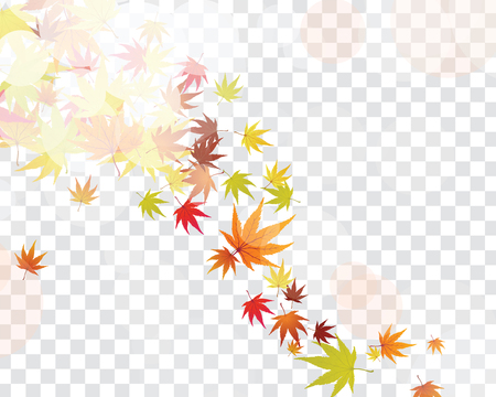 Autumn maple leaves background. Vector illustration with transparency.のイラスト素材