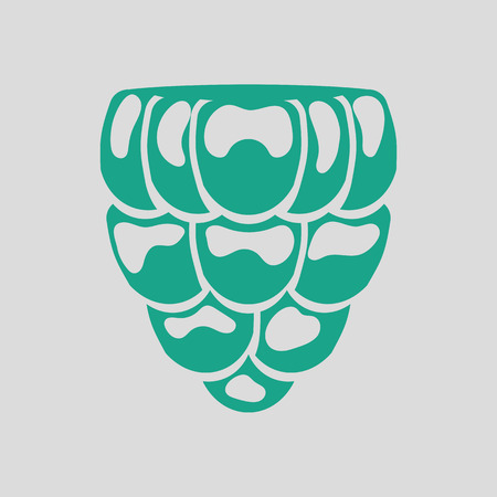 Icon of Raspberry. Gray background with green. Vector illustration.のイラスト素材