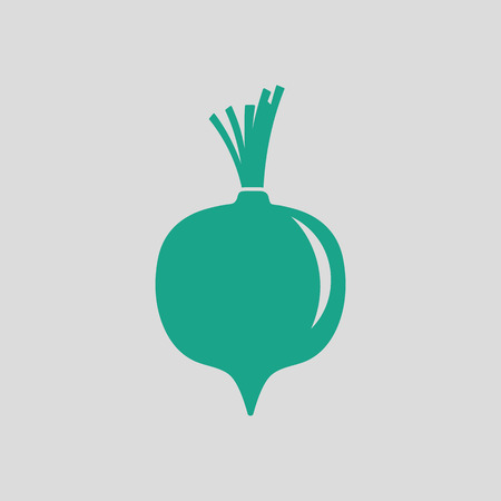 Beetroot  icon. Gray background with green. Vector illustration.のイラスト素材