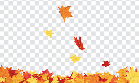 Autumn  Frame With Falling  Maple Leaves on transparency (alpha) grid background. Vector illustration.のイラスト素材