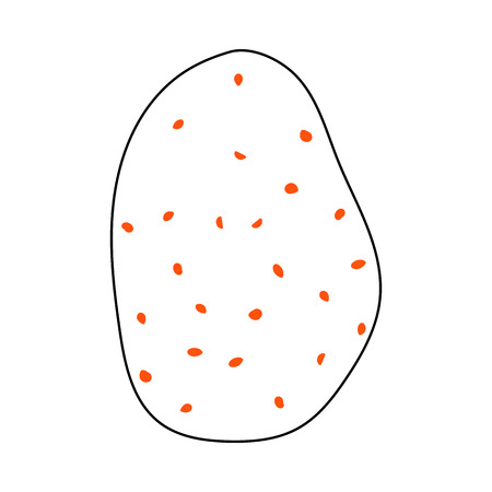Potato Icon. Thin Line With Orange Fill Design. Vector Illustration.