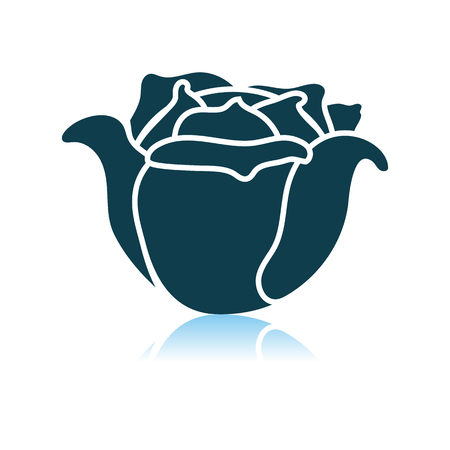 Cabbage Icon On Gray Background. Shadow Reflection Design. Vector Illustration.のイラスト素材