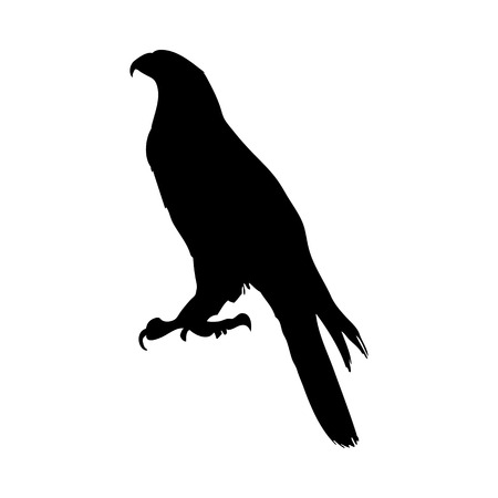 Bird Silhouette. Vector Illustration.のイラスト素材