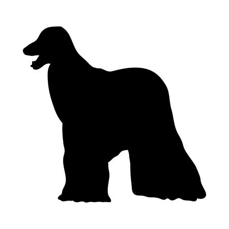Afghan Hound Dog Silhouette. Smooth Vector Illustration.のイラスト素材
