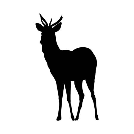 Deer Silhouette. Highly Detailed Smooth Design. Vector Illustration.のイラスト素材