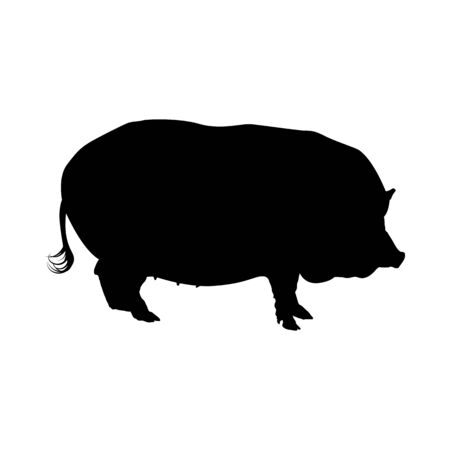 Pig Silhouette. Highly Detailed Smooth Design. Vector Illustration.のイラスト素材