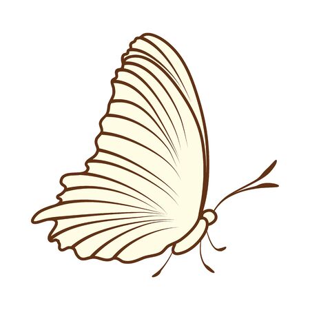 Sketch of Butterfly. Brown Line Color Design.  Vector Illustration.のイラスト素材