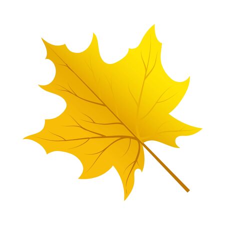 Autumn Tree Leaf. Fall Collection. Vector illustration.のイラスト素材