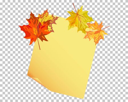Autumn maple tree leaves on  wooden plank. Vector illustration.のイラスト素材