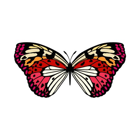 Butterfly Icon. Colored Design.のイラスト素材
