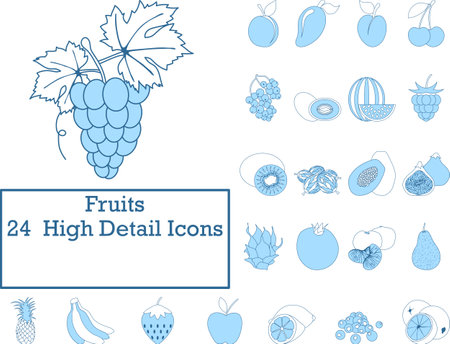 Fruits Icon Set. Thin Line With Blue Fill Design. Vector Illustration.のイラスト素材