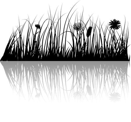Vector grass silhouettes background with reflection in water. All objects are separated.のイラスト素材
