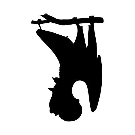 Hammerhead bat silhouette. Smooth and clean lines. High detailed Hammerhead bat silhouette. Vector Illustration.のイラスト素材