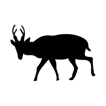 Muntjac deer silhouette. Smooth and clean lines. High detailed Muntjac deer silhouette. Vector Illustration.のイラスト素材