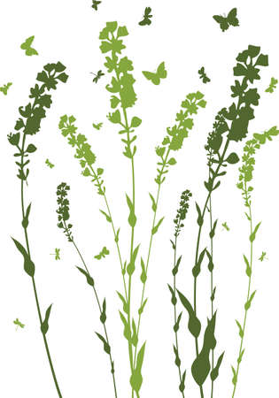 Green spring meadow grass. Fresh color plants, seasonal growth grass, separated botanical elements, herbs. Natural lawn bushes, floral border. Vector Illustration.のイラスト素材