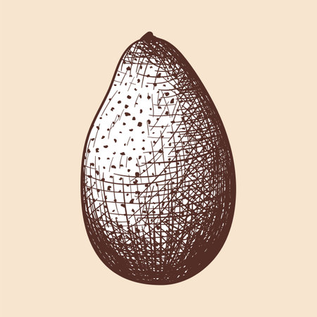 Avocado Icon.のイラスト素材