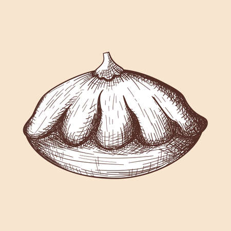 Bush Pumpkin Icon.のイラスト素材