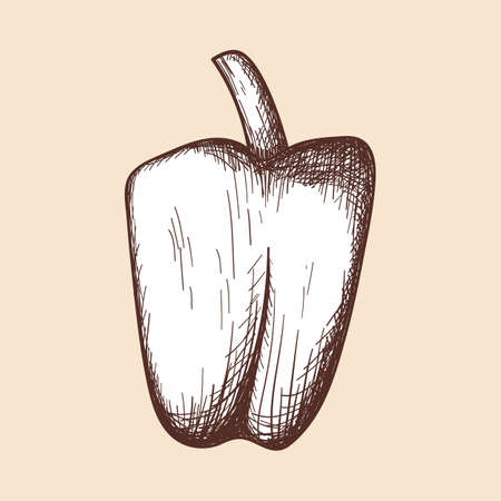 Pepper Icon.のイラスト素材