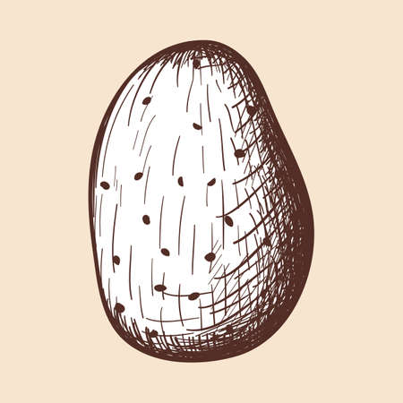 Potato Icon.のイラスト素材
