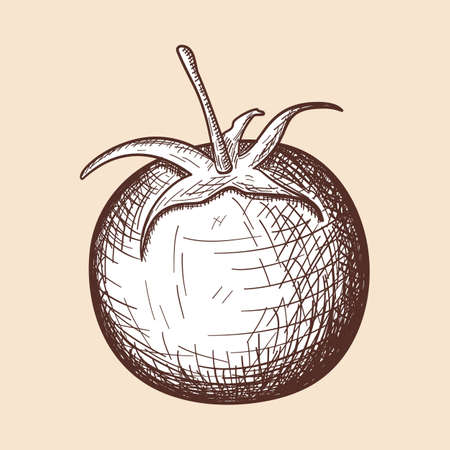 Tomatoes Icon.のイラスト素材