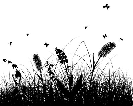 spring meadow grass. Fresh plants, seasonal growth grass, separated botanical elements, herbs. Natural lawn bushes, floral border. vector illustration.のイラスト素材