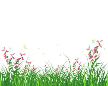 Green spring meadow grass. Fresh color plants, seasonal growth grass, separated botanical elements, herbs. Natural lawn bushes, floral border. Vector Illustration.のイラスト素材
