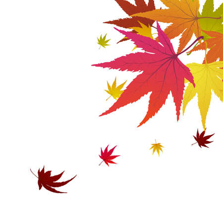 Maple autumn banner, poster, flyer, sale. Background decorated with maple leaves, for shopping design, promo poster, flyer, or web banner. vector illustration.のイラスト素材