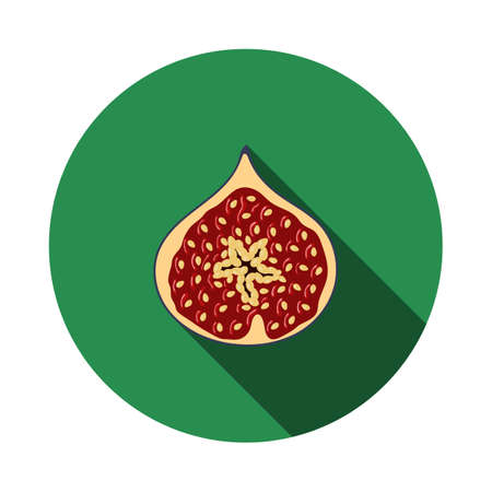 Icon Of Fig Fruit In Ui Colors. Flat Circle Stencil Design With Long Shadow. vector illustration.のイラスト素材