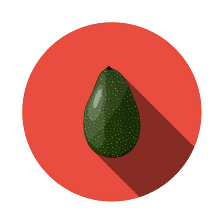 Avocado icon. Flat Circle Stencil Design With Long Shadow. vector illustration.のイラスト素材