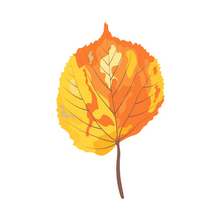 Autumn linden leaf. leaf fall. vector illustration.のイラスト素材