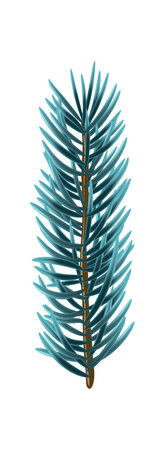 Blue christmas fir branch element. Vector illustration.のイラスト素材