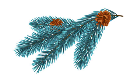 Blue Christmas fir tree branch element. Vector illustration.のイラスト素材