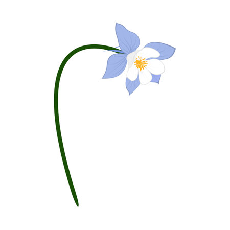 Meadow flower. Beautiful flower for making summer and spring meadow designs. Vector illustration.のイラスト素材