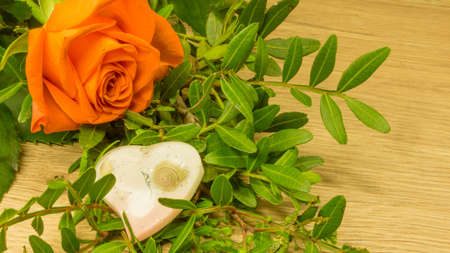 A red rose with green leaves and a heartの写真素材