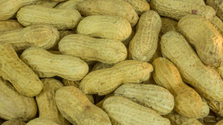 Dry peanuts for use as a background.の写真素材