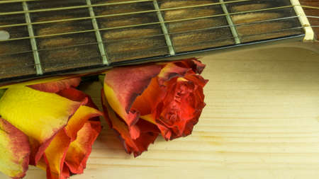 Guitar with a bouquet of roses as a backgroundの写真素材