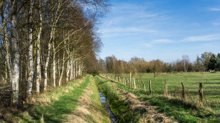 A pasture with fence and trees at sunshineの写真素材