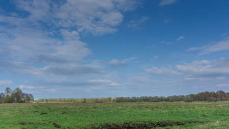 A green meadow with blue sky and trees in the backgroundの写真素材