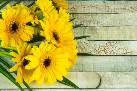 Gerbera flowers on a rustic wooden table as backgroundの写真素材