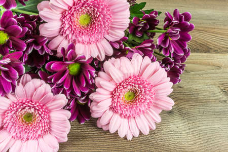 Colored gerbera flowers on a rustic wooden table as a backgroundの写真素材
