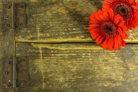Gerbera flowers on a rustic wooden background